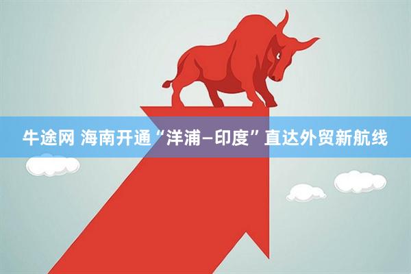 牛途网 海南开通“洋浦—印度”直达外贸新航线