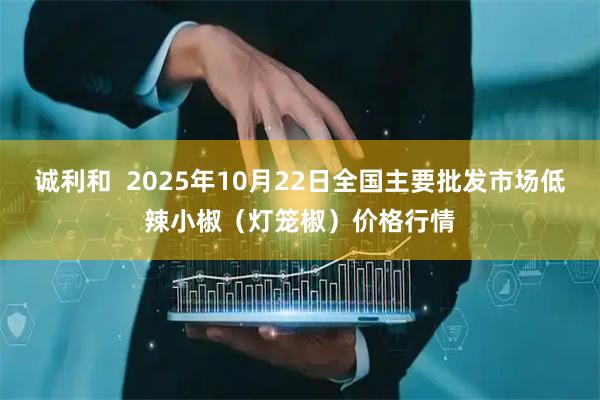 诚利和  2025年10月22日全国主要批发市场低辣小椒（灯笼椒）价格行情