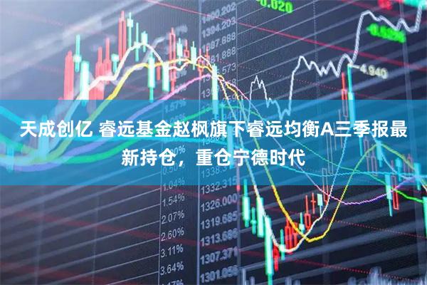 天成创亿 睿远基金赵枫旗下睿远均衡A三季报最新持仓，重仓宁德时代